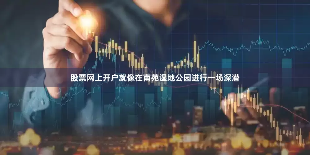 股票网上开户就像在南苑湿地公园进行一场深潜