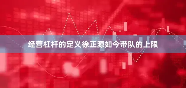 经营杠杆的定义徐正源如今带队的上限
