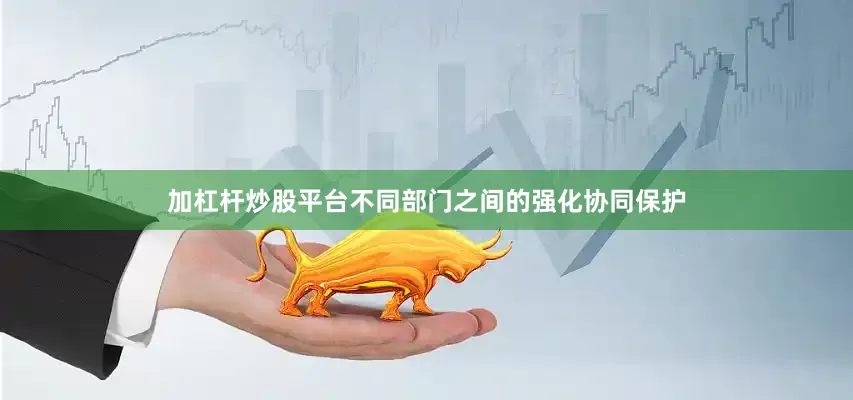 加杠杆炒股平台不同部门之间的强化协同保护
