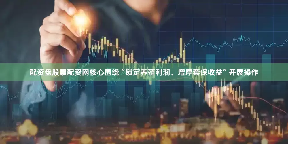 配资盘股票配资网核心围绕“锁定养殖利润、增厚套保收益”开展操作