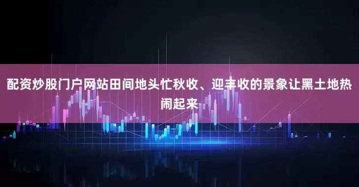 配资炒股门户网站田间地头忙秋收、迎丰收的景象让黑土地热闹起来